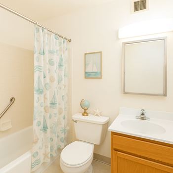 Accessible bathroom features